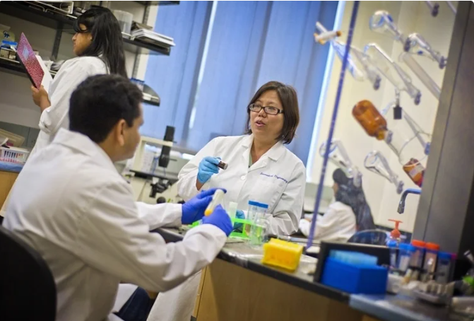 «Новые материалы из наночастиц могут более эффективно лечить болезни»
